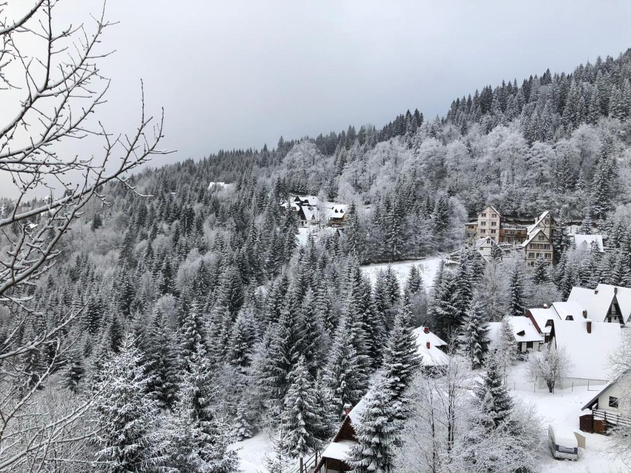 Stara Bacija Apartment Kopaonik Exterior photo